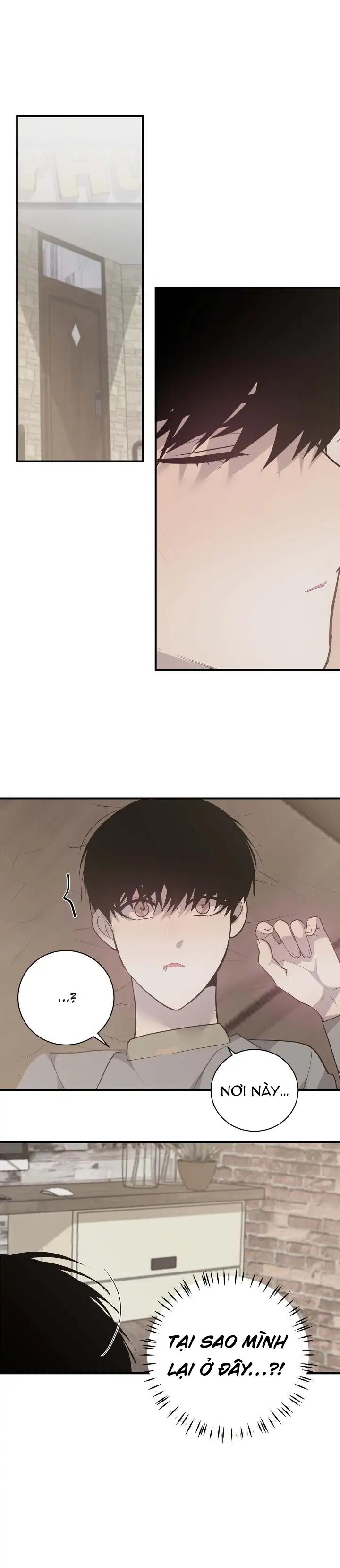 sao notp lại thành thật rồi? chapter 47 14