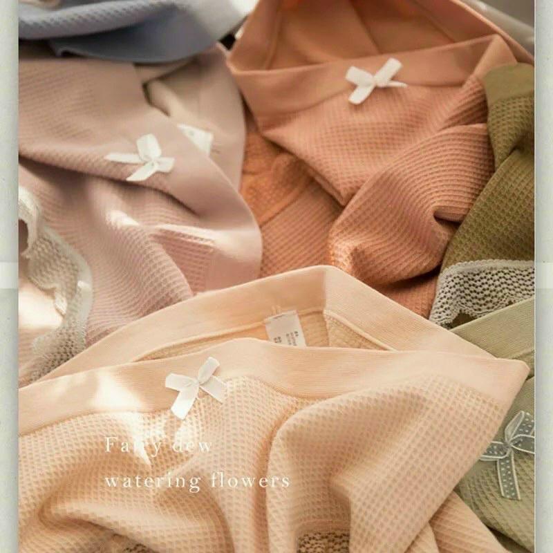 COMBO 5-10 QUẦN COTTON THÔNG HƠI CAO CẤP