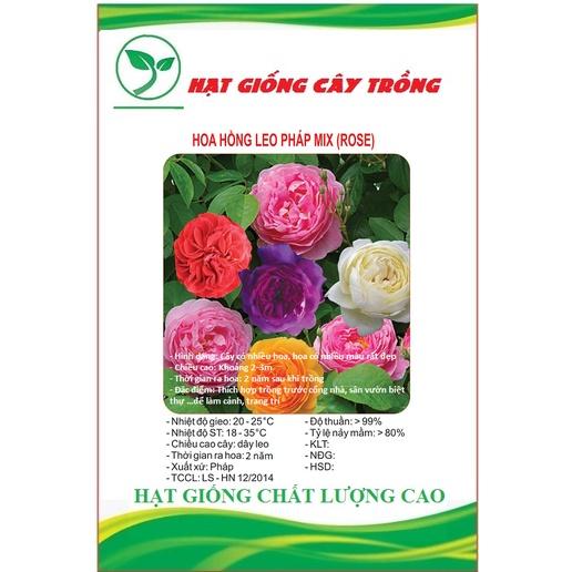 Hạt giống hoa hồng leo Pháp nhiều màu CT243 - Gói 10 hạt