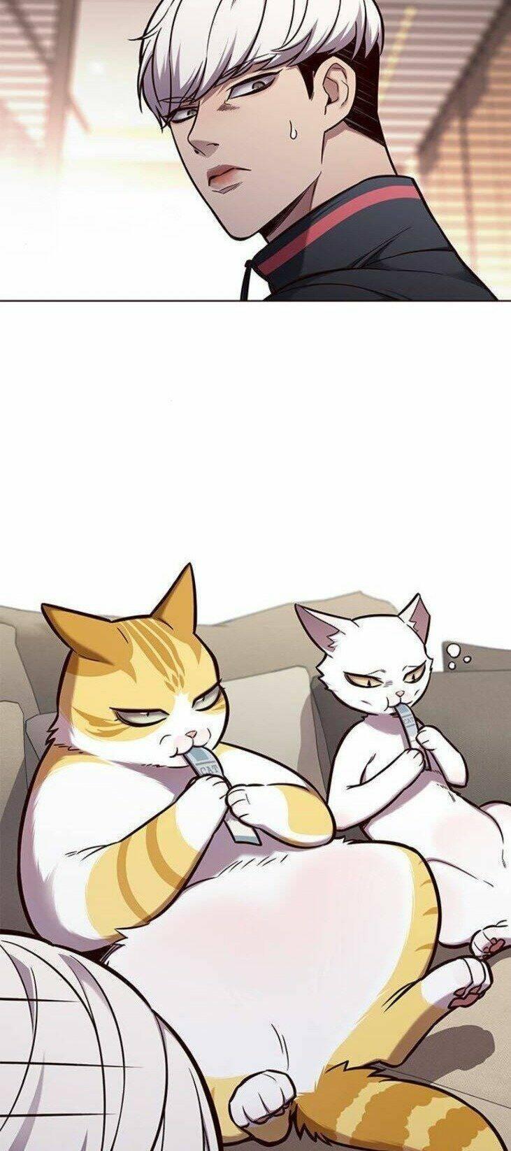 biến thân thành mèo chapter 146 18