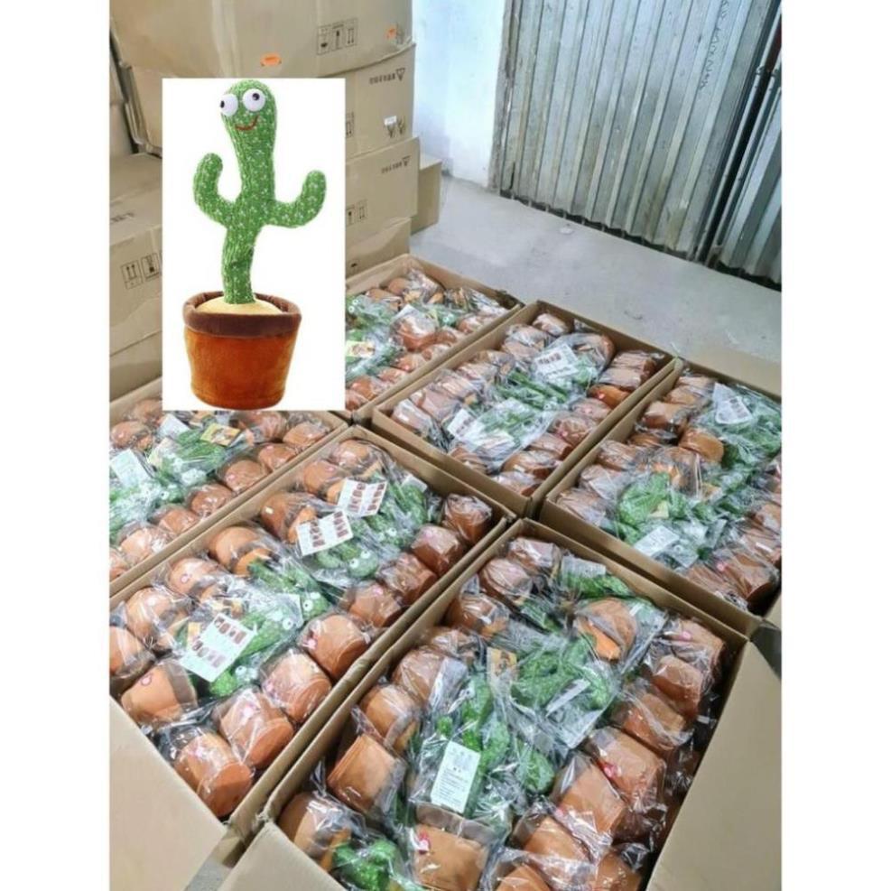 Cây Xương Rồng Khiêu Vũ Nhảy Múa Phát Ra Âm Thanh Vui Nhộn, có thu âm nhại tiếng nói