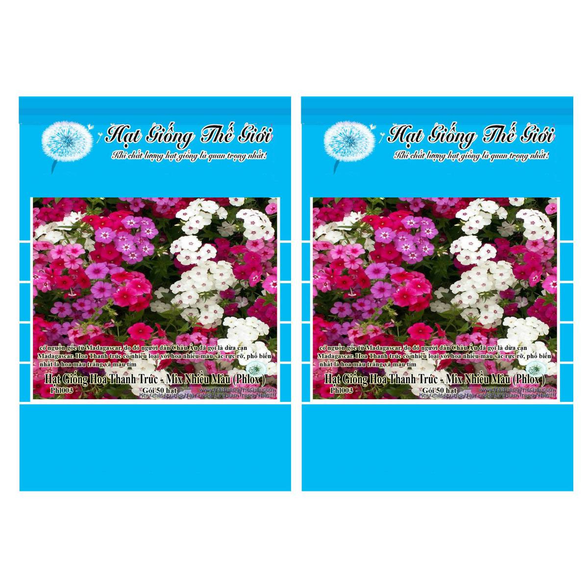 Bộ 2 Gói Hạt Giống Hoa Thanh Trúc - Mix Nhiều Màu (Phlox drummondii) 50h