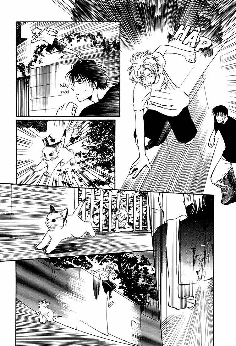 gohou drug chapter 6 42