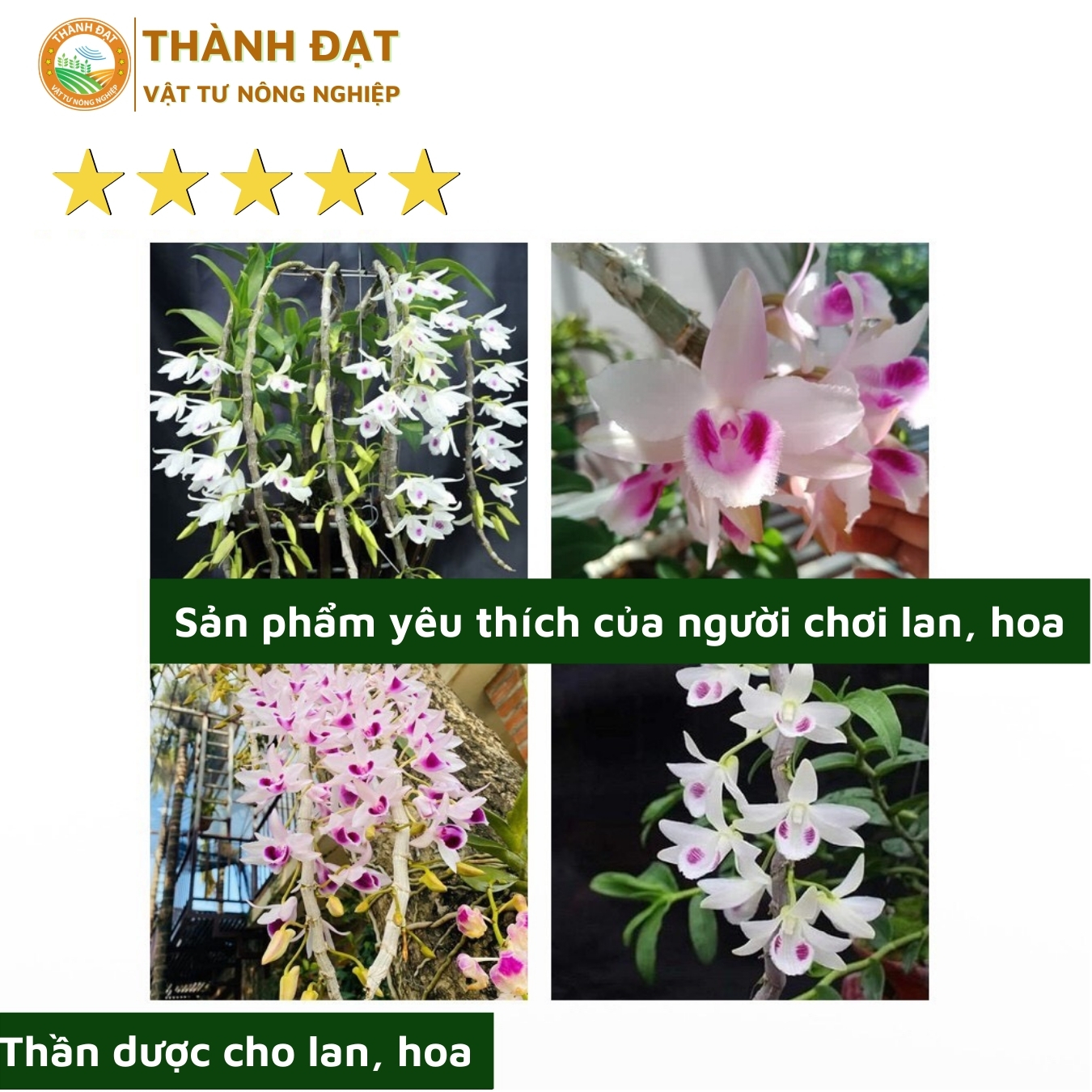 Viên Nén Dinh Dưỡng Hữu Cơ Hùng Nguyễn Ben 01 gói 1 ký, phân bón cho lan - hoa - cây cảnh