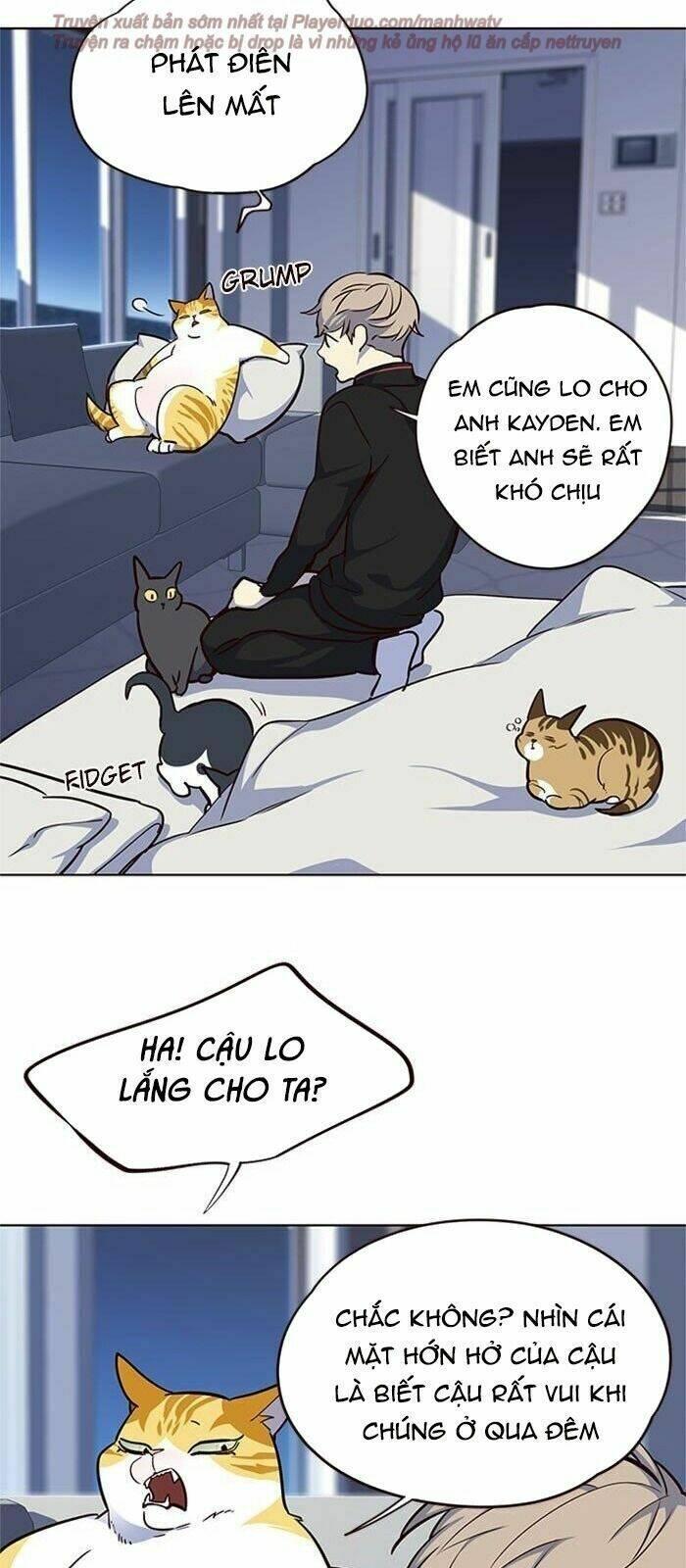 biến thân thành mèo chapter 36 76