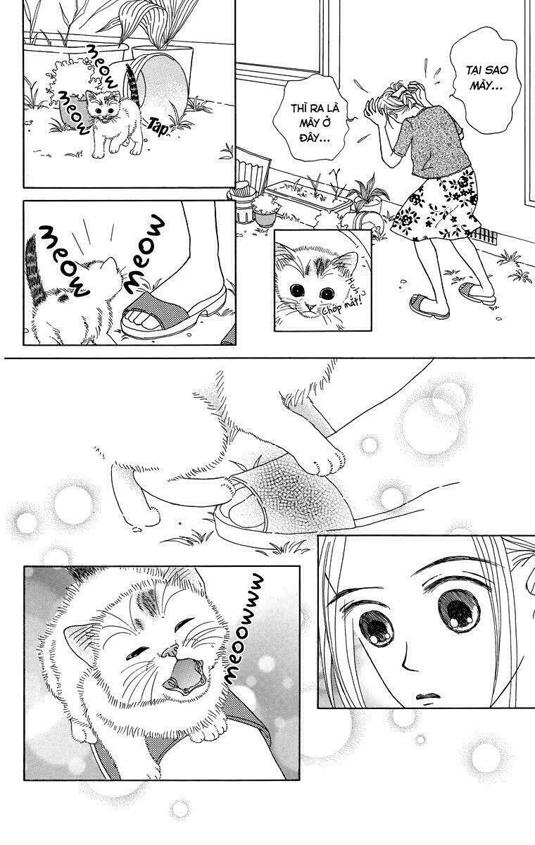 cuộc sống thường nhật của mèo zaccho chapter 1.5 28