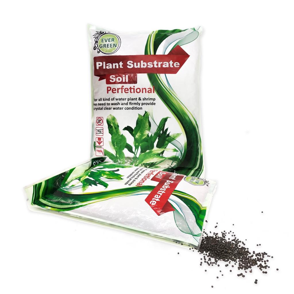 Phân Nền Thủy Sinh Chuyên Dụng Ever Green