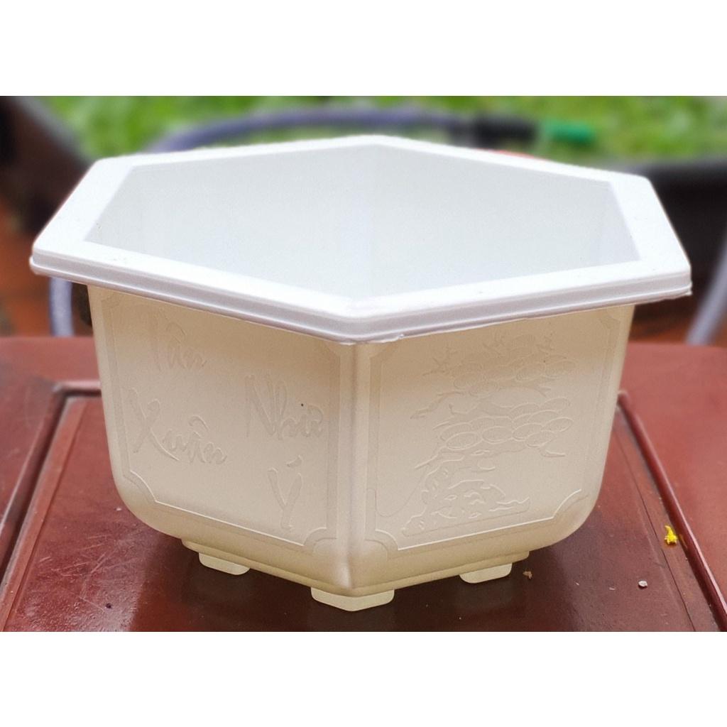 Chậu nhựa Bonsai Lục giác 280 đa sắc màu .