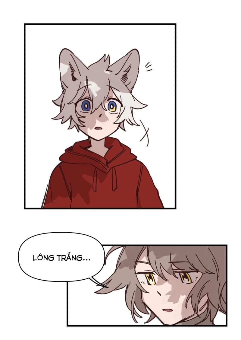 lumine - cội nguồn ánh sáng chapter 130 14