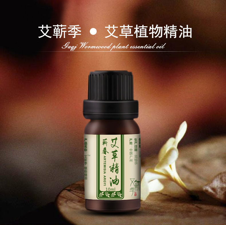 TINH DẦU NGẢI CỨU CHIẾT XUẤT TỪ NGẢI CỨU TỰ NHIÊN 10ml. Tinh dầu Gừng massge, xoa bóp