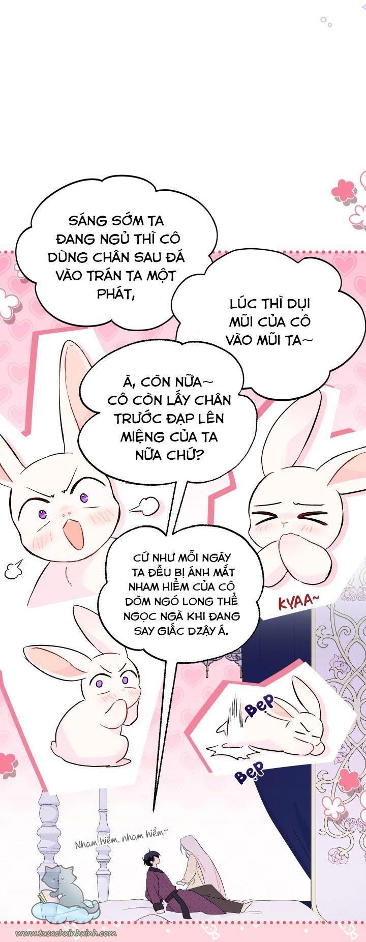 quan hệ cộng sinh giữa báo đen và thỏ trắng chapter 53 34