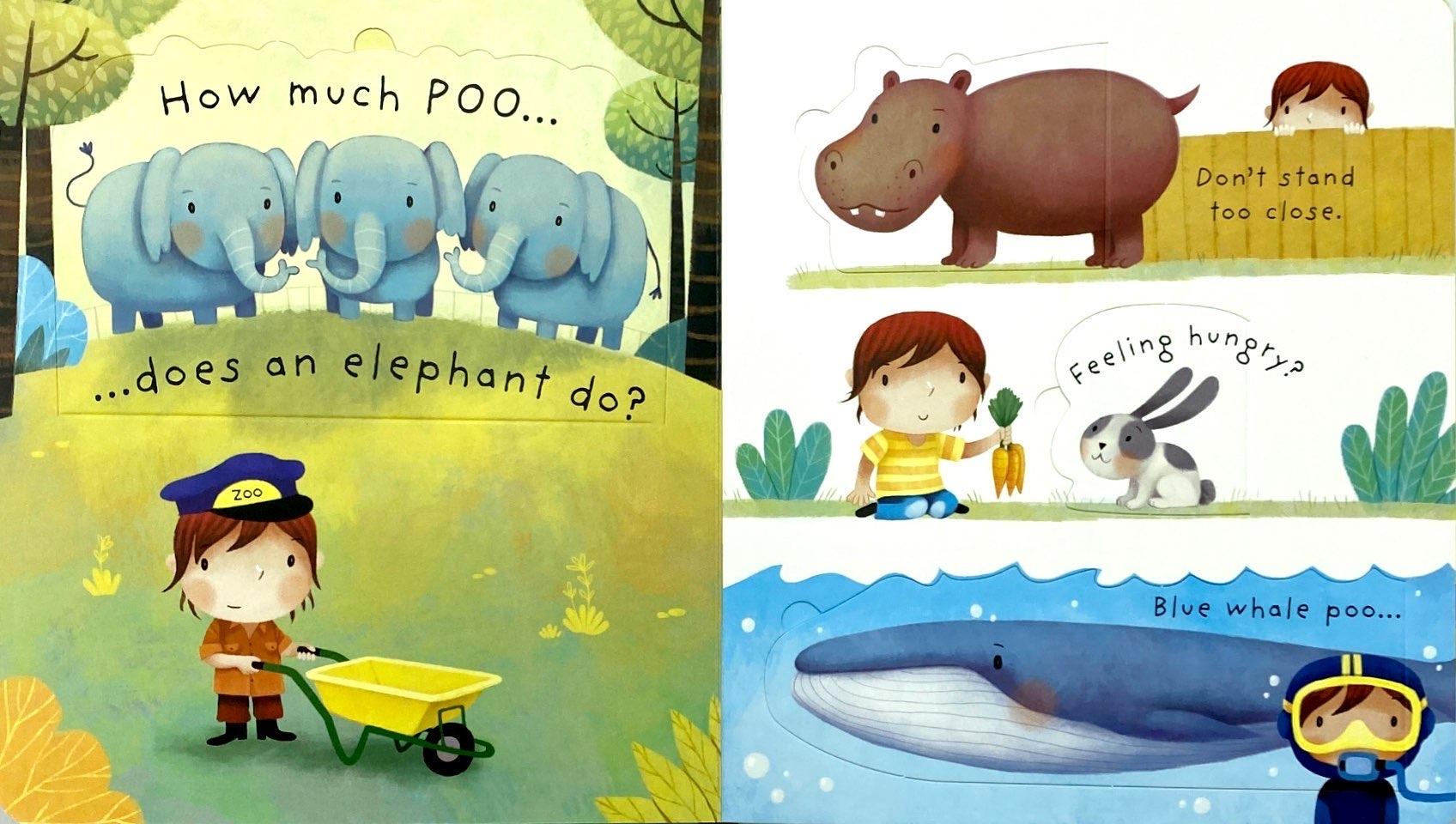 Sách Usborne What is poo?
