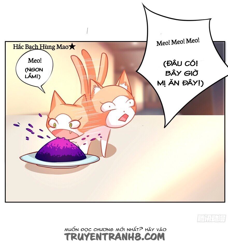 chủ nhân là ảnh đế chapter 1.6 14