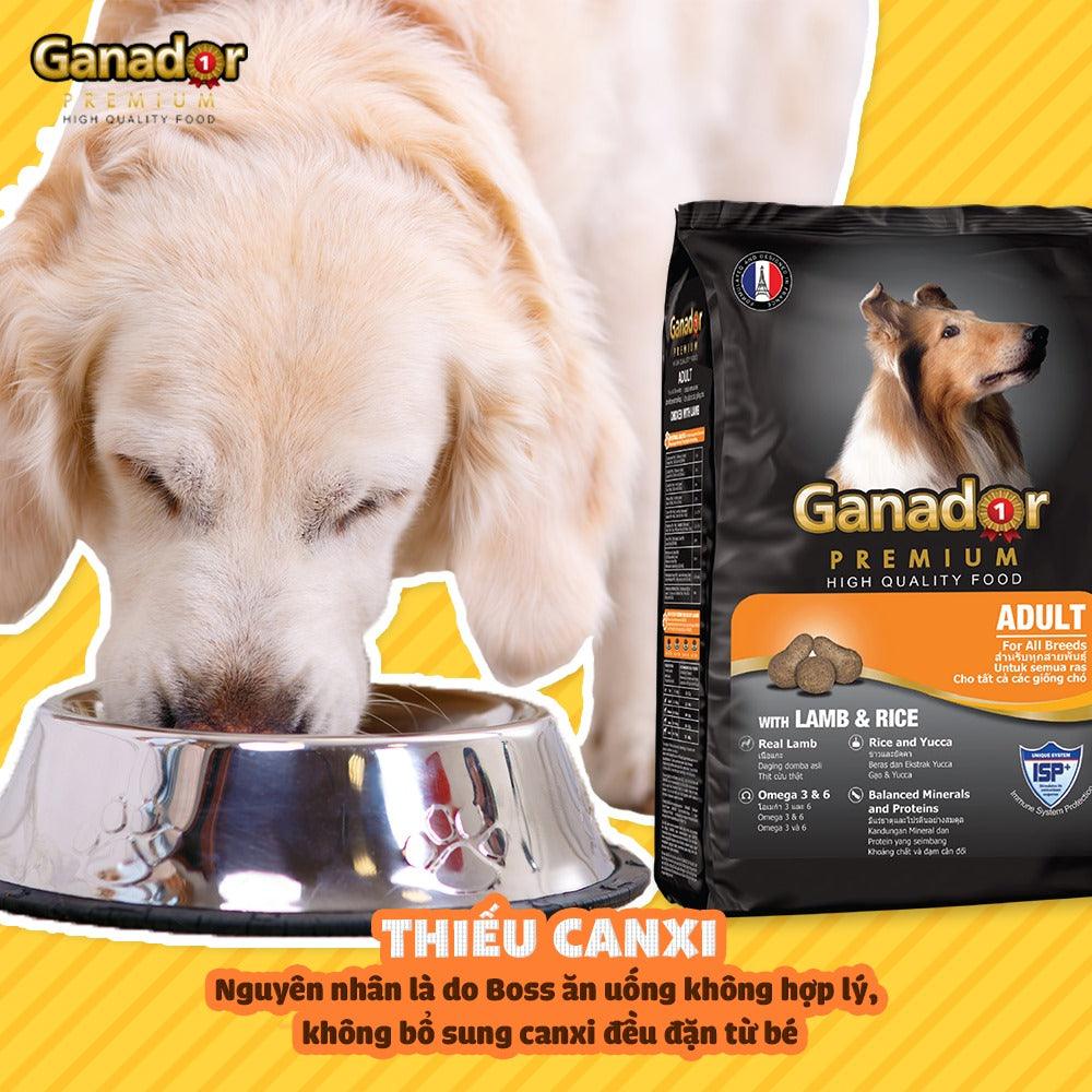 20KG Thức ăn cho chó trưởng thành Ganador vị thịt cừu &amp; gạo - Ganador Adult Lamb &amp; Rice - Thức ăn hạt cho Chó