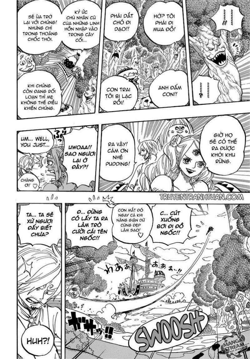 đảo hải tặc - one piece chapter 876 13
