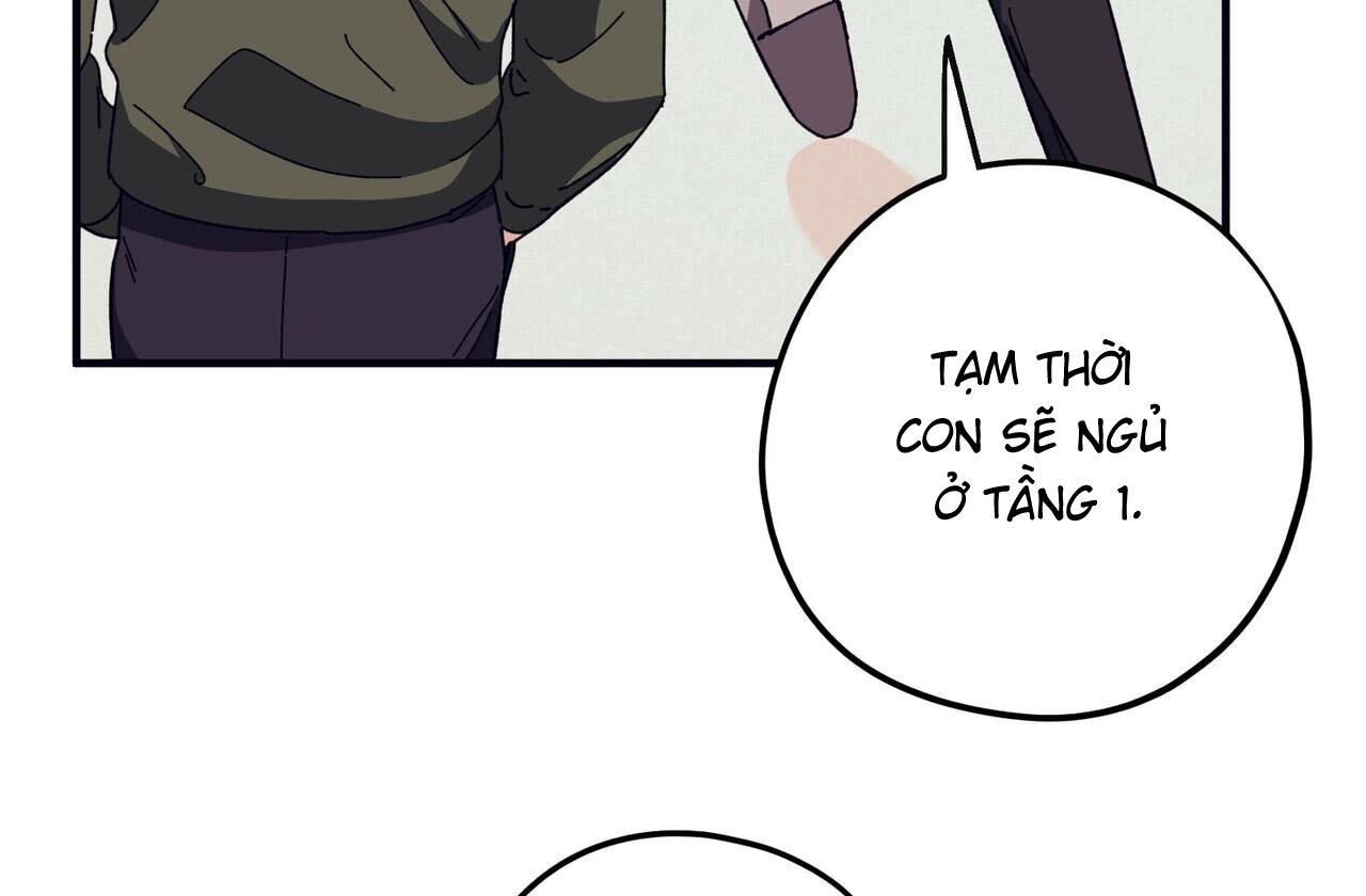 chàng dâu nhà họ kang chapter 42 52