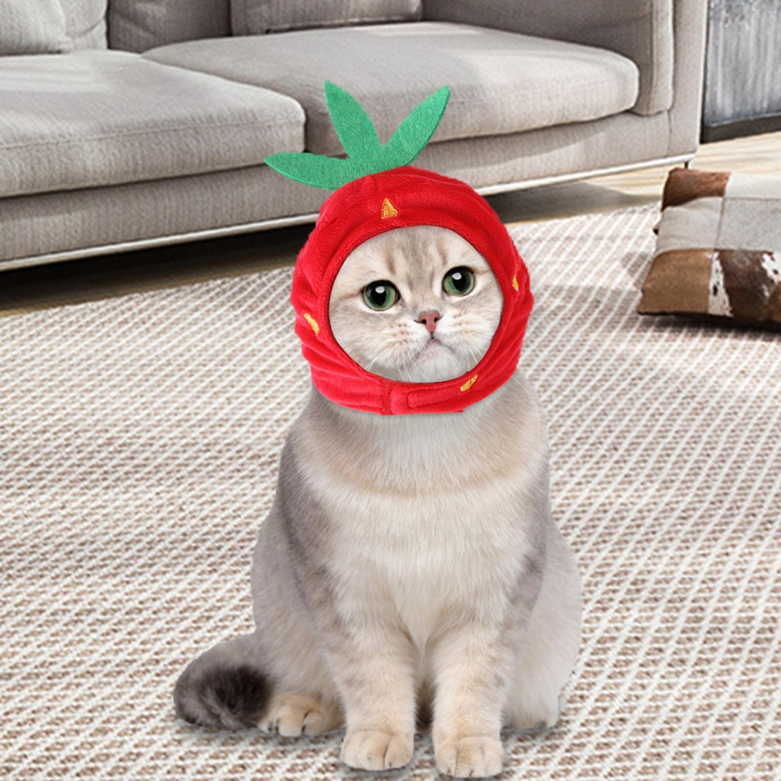 Dog Cat Hat Winter Funny Hats for Dress Up Gray Rabbit+Dog