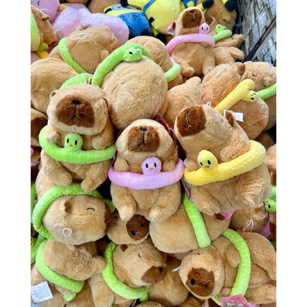 Thú nhồi bông Capybara đeo phao đi biển cute - Size 22cm - Quà tặng chuột lang đeo phao có thể cởi ra được