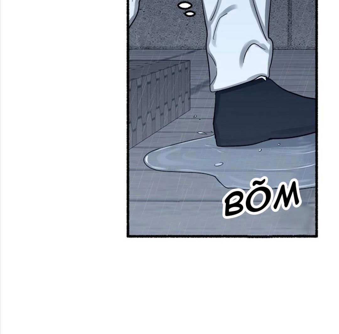 hoa triều chapter 19 101