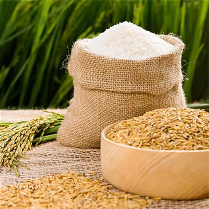 Gạo Đài Loan - Túi 5 kg - Dẻo, thơm, mềm cơm