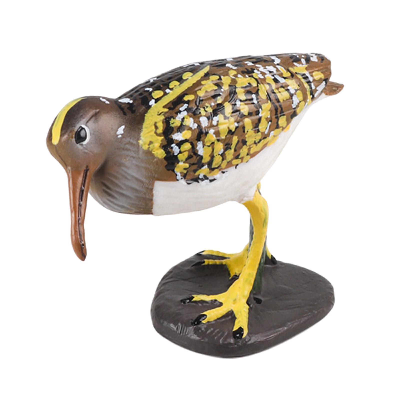 Durable Bird Figurine Ornament Fine Workmanship Bird Statue for Bookshelf Desktop