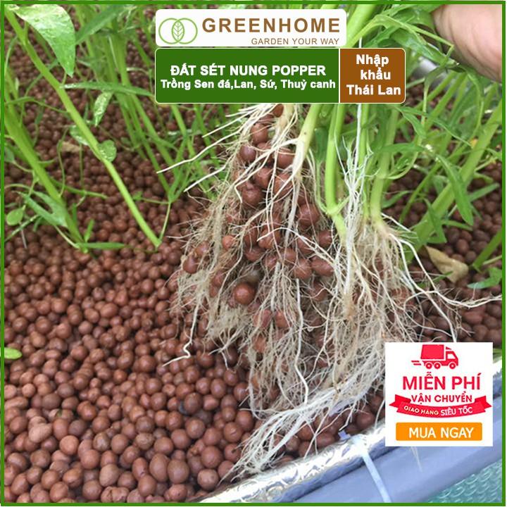Bao 1 lít size XL Đất sét nung Popper Thái Lan- Trồng sen đá, trồng lan, trồng cây sứ, thuỷ canh