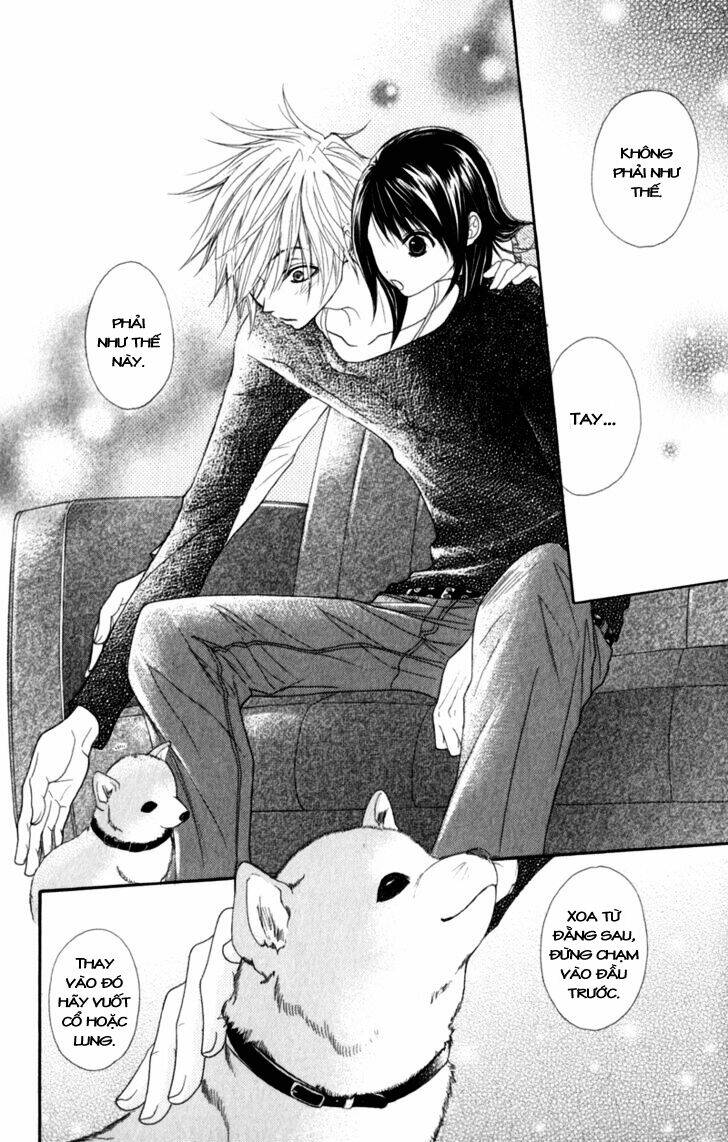 điện kích daisy chapter 29 21