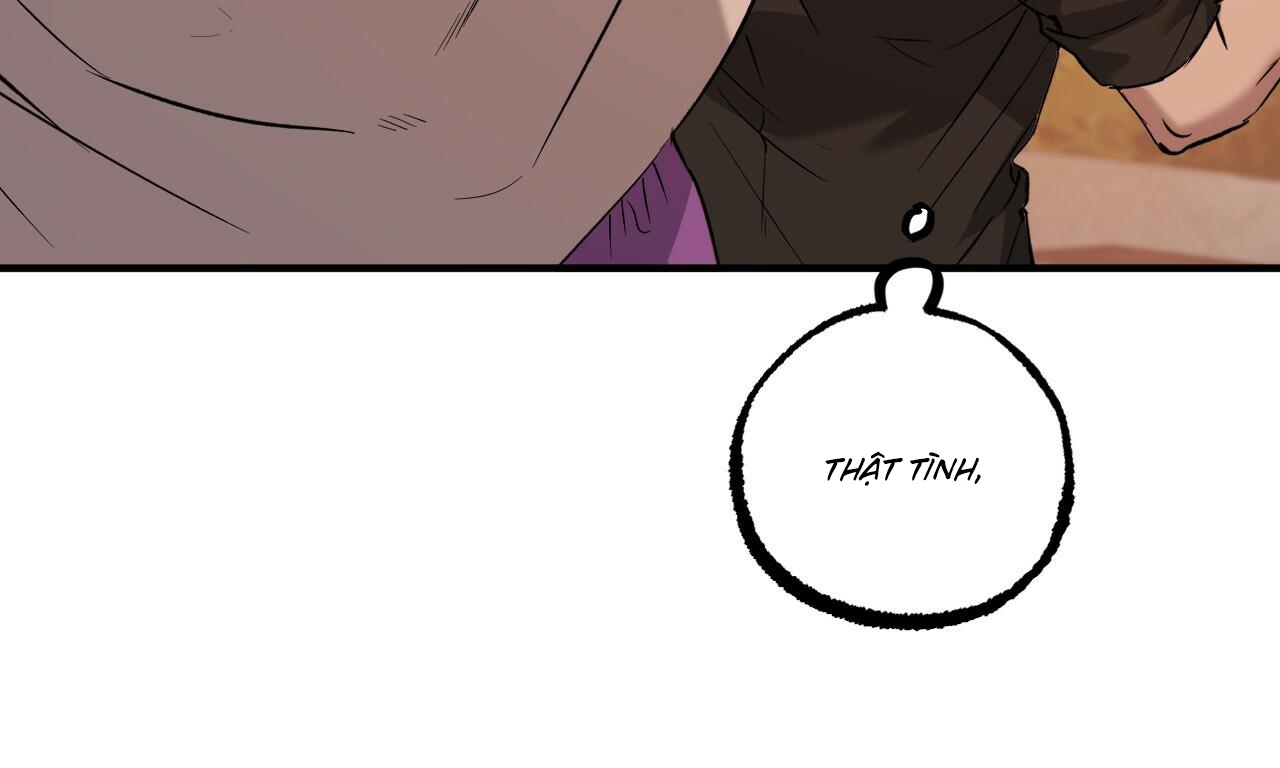 những chú thỏ của hapypy chapter 56 179