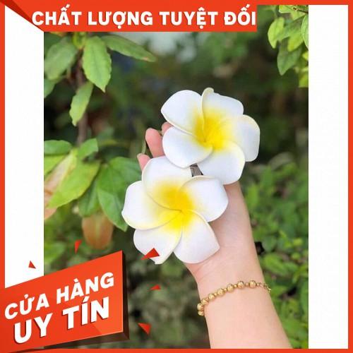 Cài Tóc Hoa Sứ Size Vừa[Còn hàng]