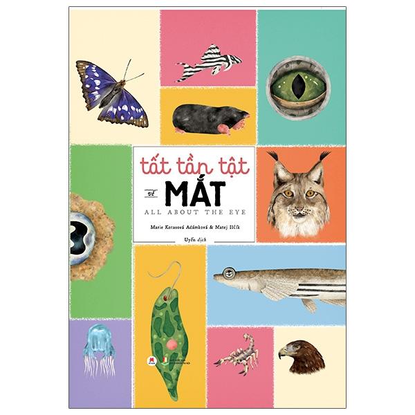 Tất Tần Tật Về Mắt - All About The Eye