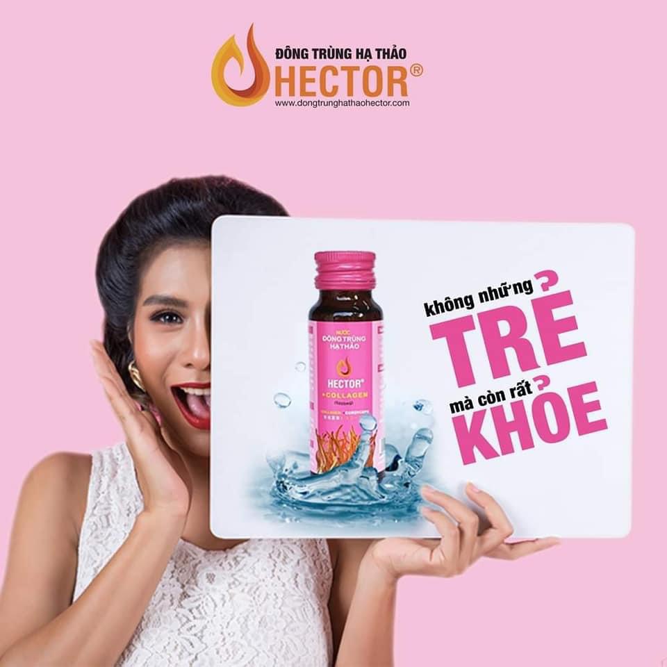 Nước Đông Trùng Hạ Thảo Hector Collagen - Hàng chính hãng