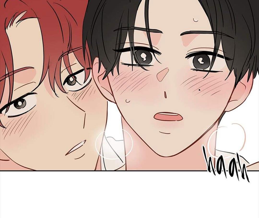 chuyện quái gì với giấc mơ đó vậy chapter 39 40