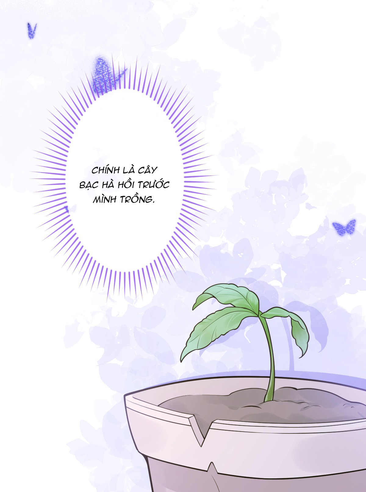 ân sủng của sói chapter 12 12