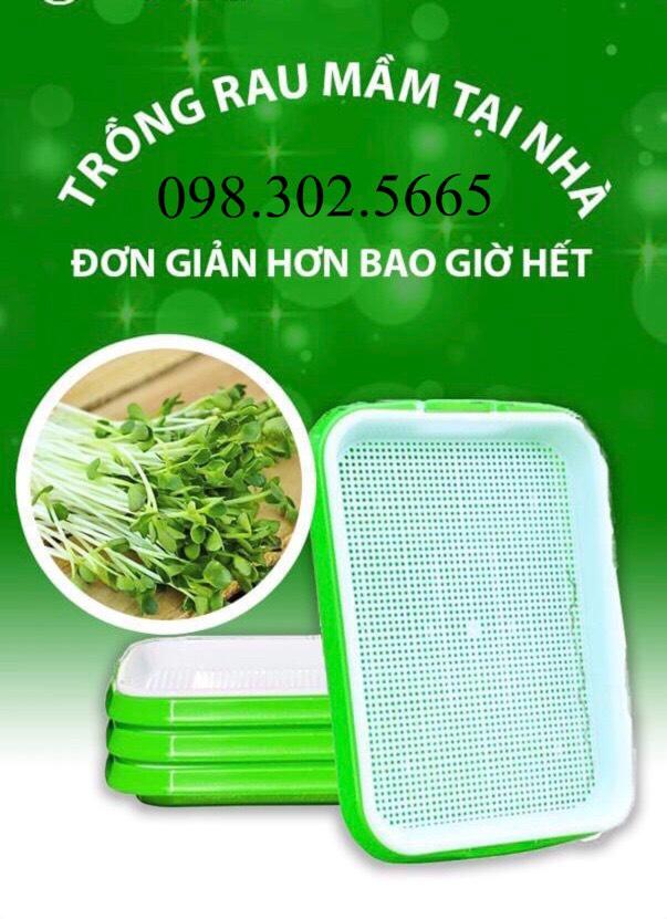 Bộ 2 Khay trồng rau mầm thuỷ canh chuyên dụng và 1 gói hạt rau mầm