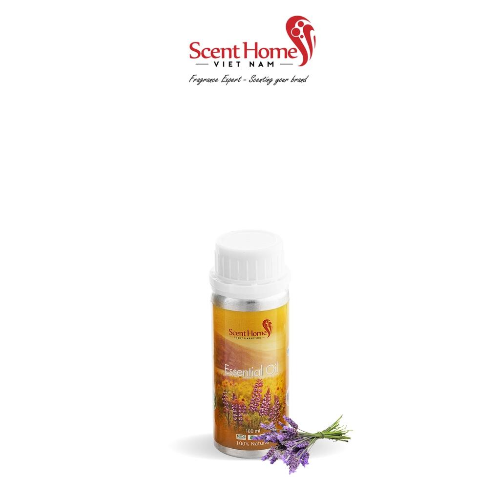 Tinh dầu Scent Homes - mùi hương (Lavender UK)