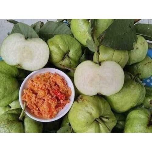 CÂY GIỐNG ỔI KHÔNG HẠT SIÊU NGON SIÊU QUẢ- CAM KÊT GIỐNG CHUẨN F1 - CGOKHCSSQ