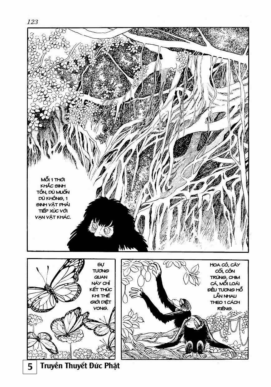 buddha - truyền thuyết đức phật chapter 25.1 14
