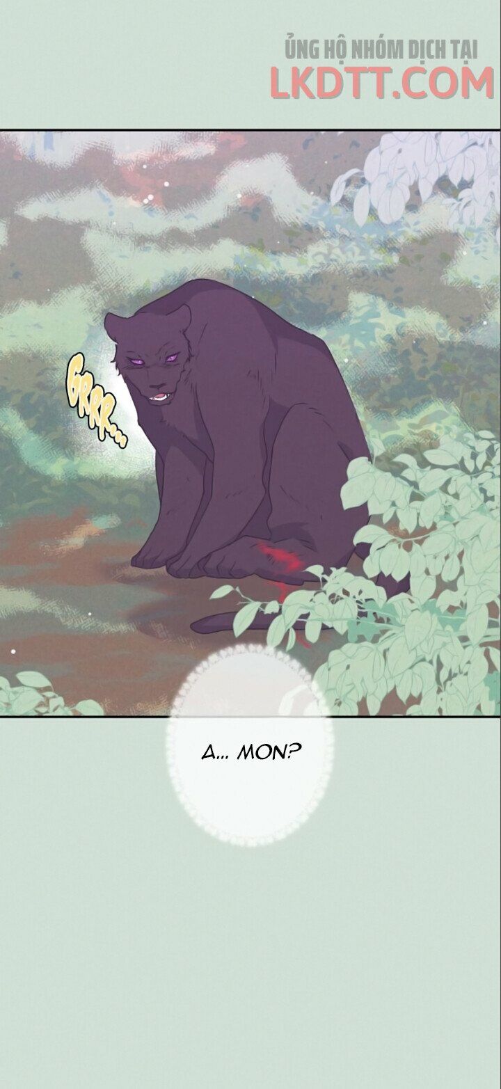 tôi đang nuôi dưỡng một con quái thú chapter 35 40