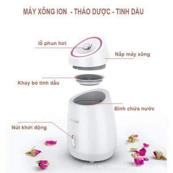 Máy xông mặt hoa quả, xông hơi thảo dược