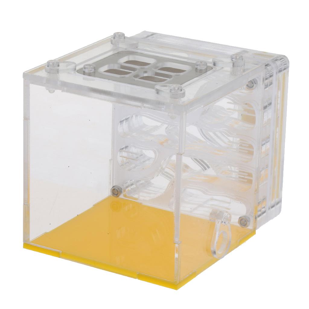 Kiến Nhà Ở Tổ Loài Côn Trùng Lồng Trang Trại Cho Ăn Độ Ẩm Bằng Nhựa Acrylic Màn Hình Hộp Vuông-Giáo Dục formicar