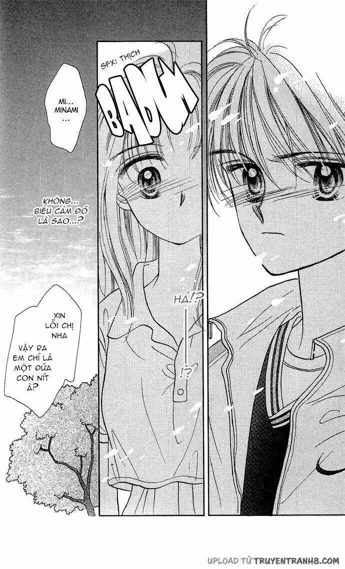 milk to vitamin chapter 8 34