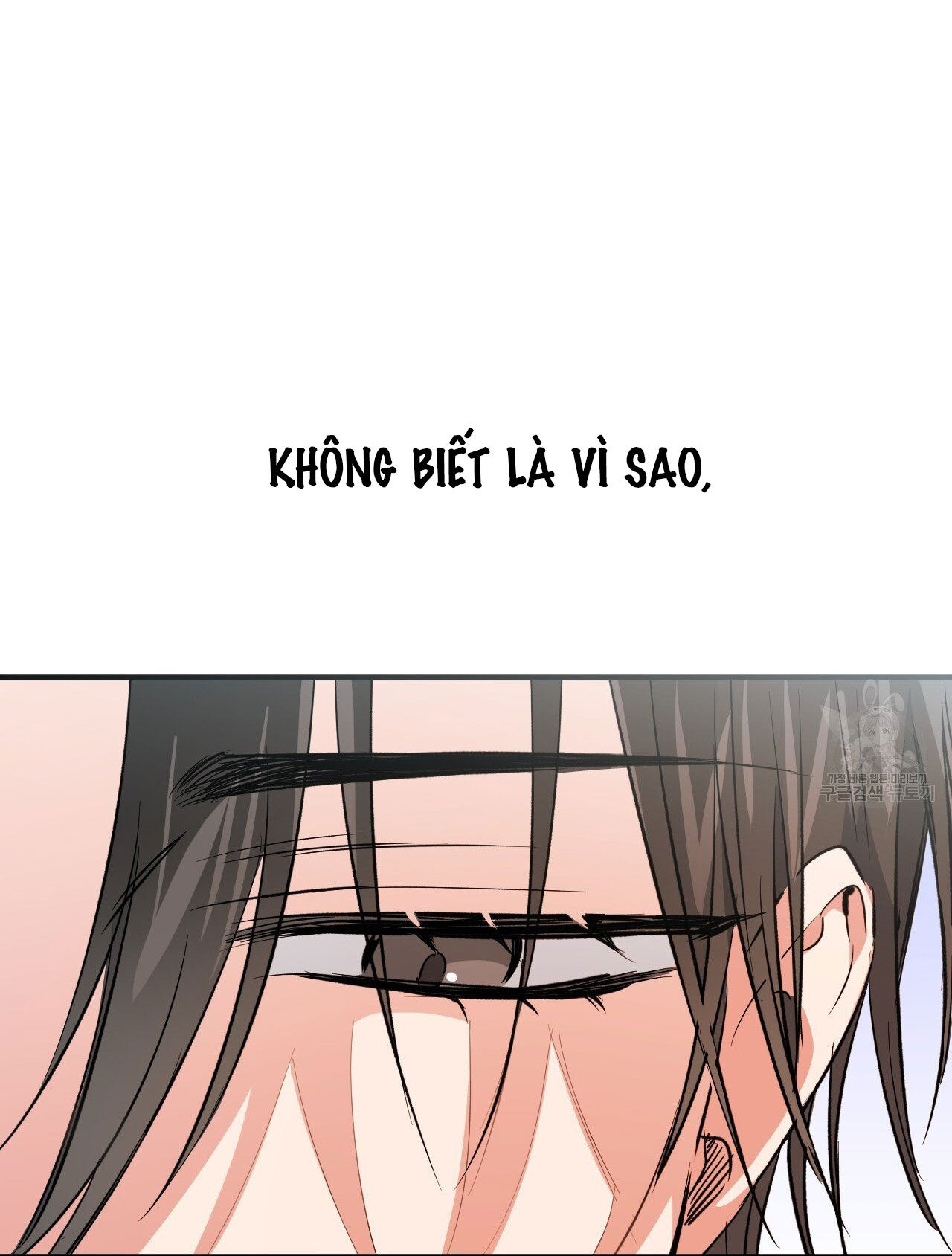 những chú thỏ của hapypy chapter 61.2 13