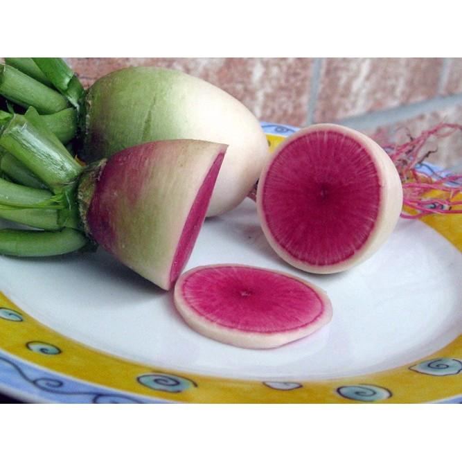 Hạt giống Củ Cải Dưa Hấu ngon bao đẹp