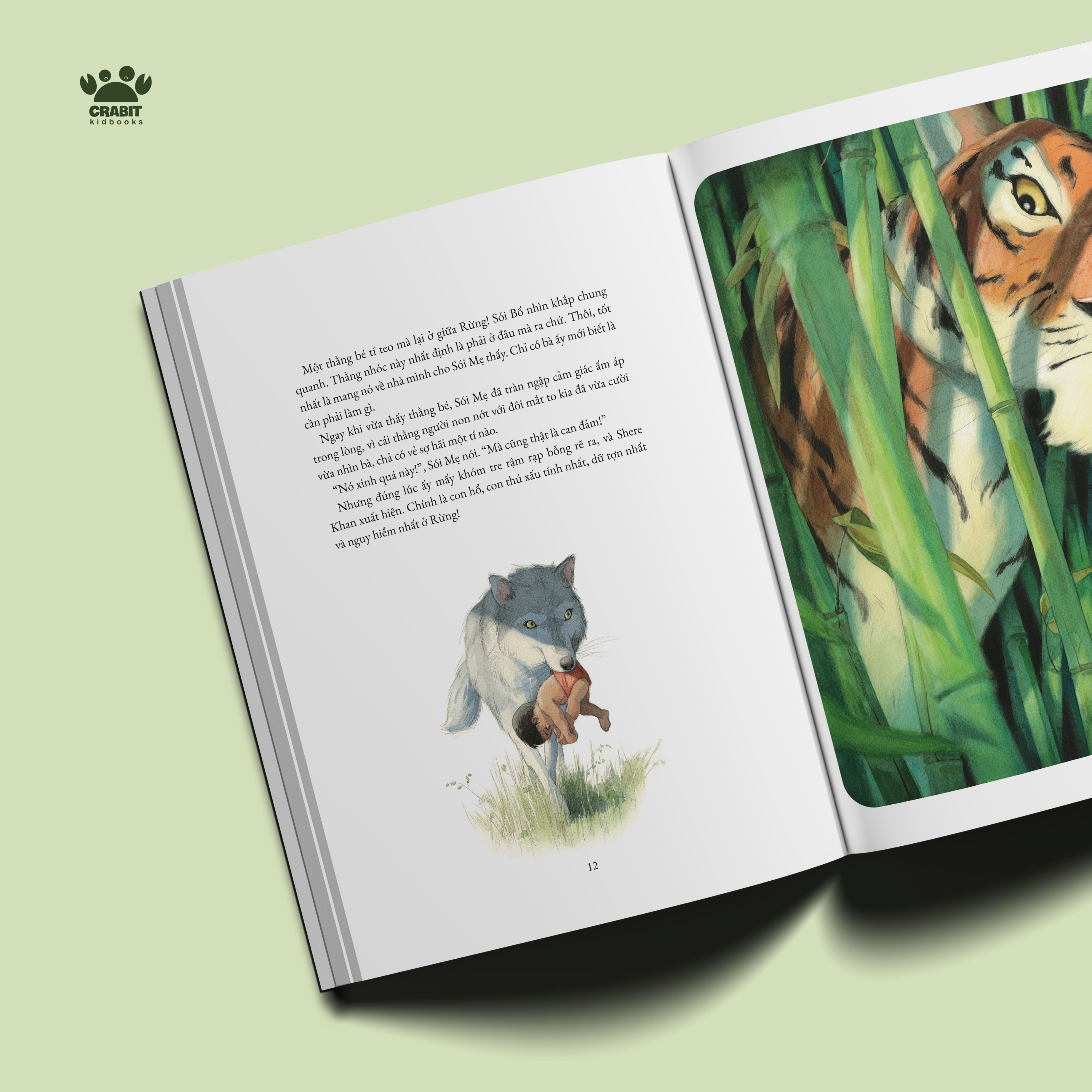 Sách - Chuyện rừng xanh - Crabit Kidbooks
