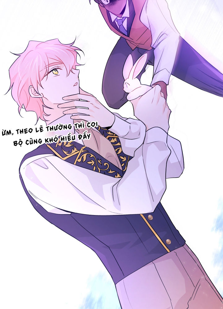 mối liên kết giữa báo đen và bé thỏ chapter 33 29