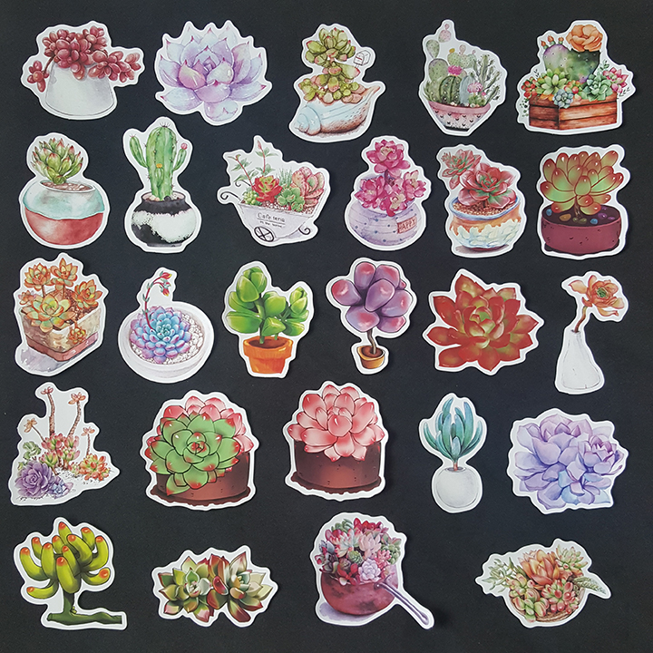 Bộ Sticker dán cao cấp chủ đề SEN ĐÁ SUCCULENTS - Dùng dán Xe, dán mũ bảo hiểm, dán Laptop