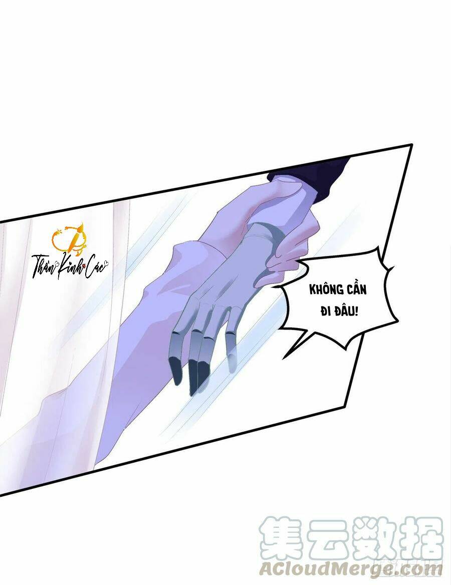 toàn bộ nắm trong tay chapter 71 8