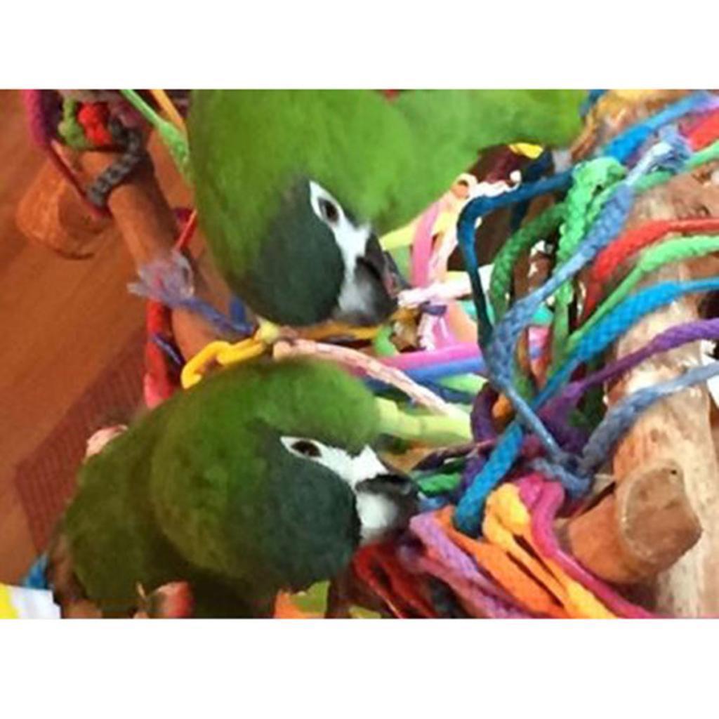 Birds Parrot Chew Toys Cage Shredder Foraging Toy For Small Bird Hanging Toy