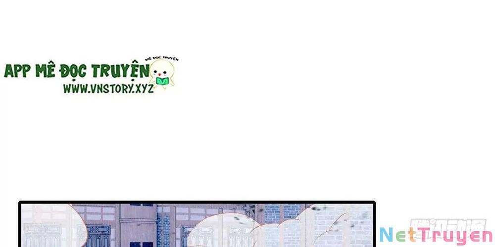 lại bị bệnh chiều chuộng quấn lấy chapter 45 60