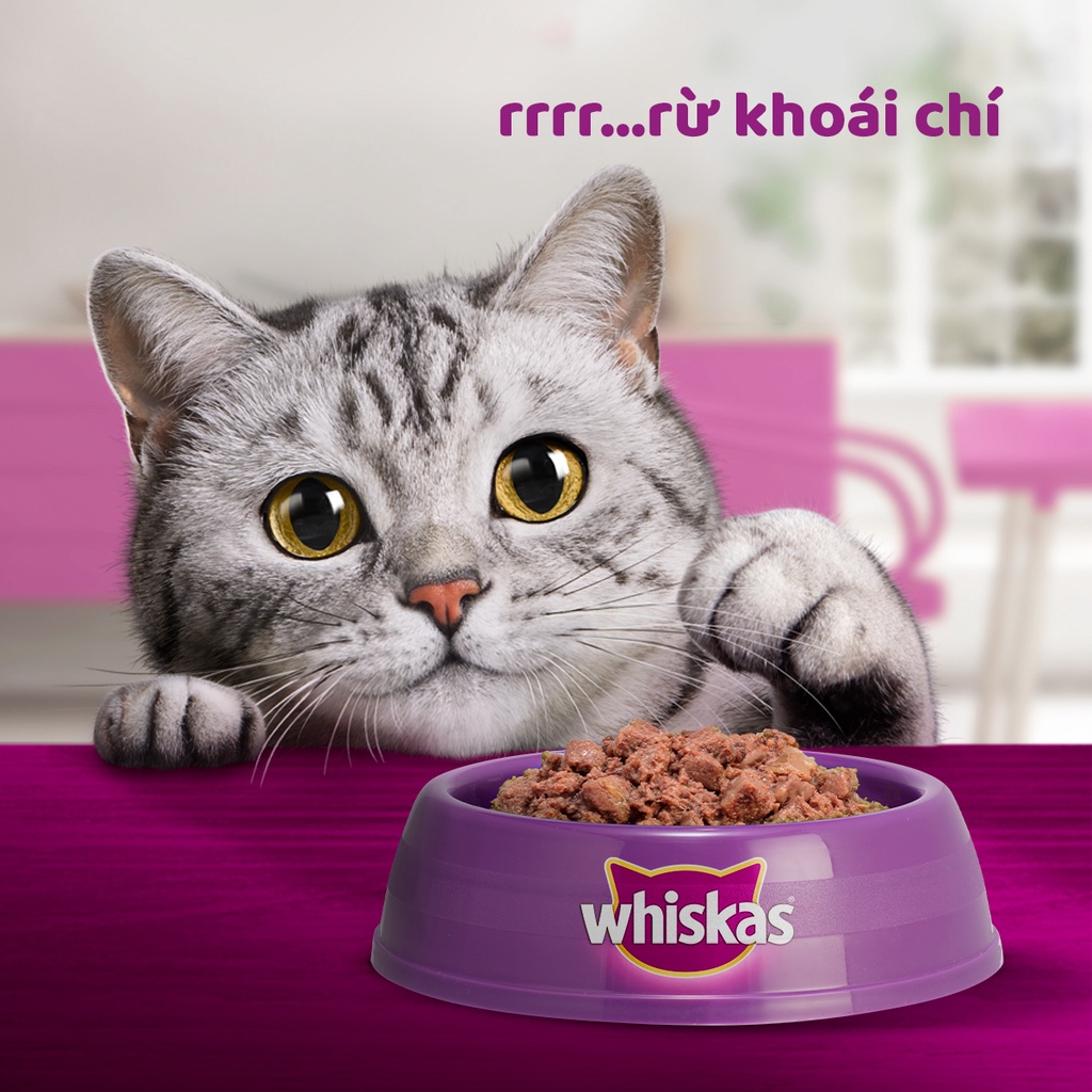 Pate Cho Mèo Con Vị Cá Ngừ Whiskas Kitten Hộp 12 Gói 80g